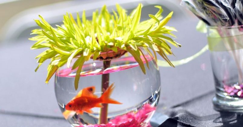 Centrepiece - How to set the perfect table